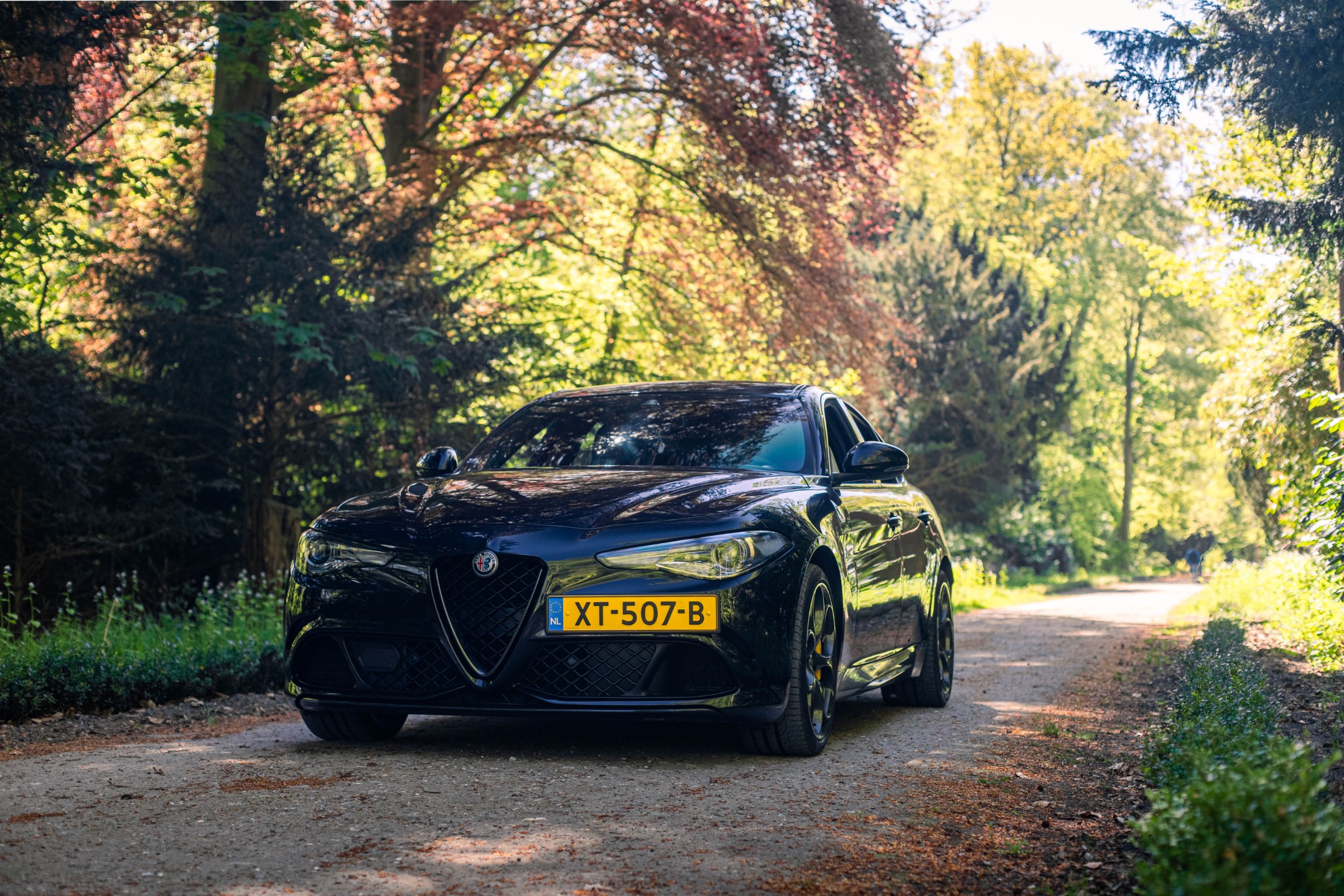Alfa Romeo Giulia 2.9 V6 Quadrifoglio