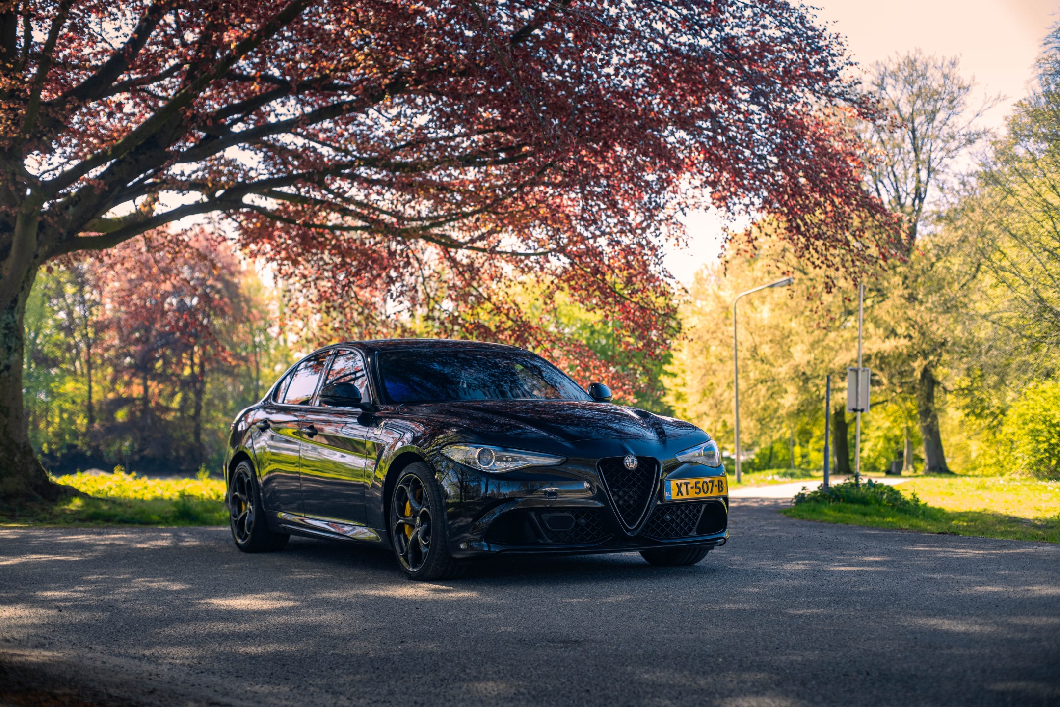 Alfa Romeo Giulia 2.9 V6 Quadrifoglio