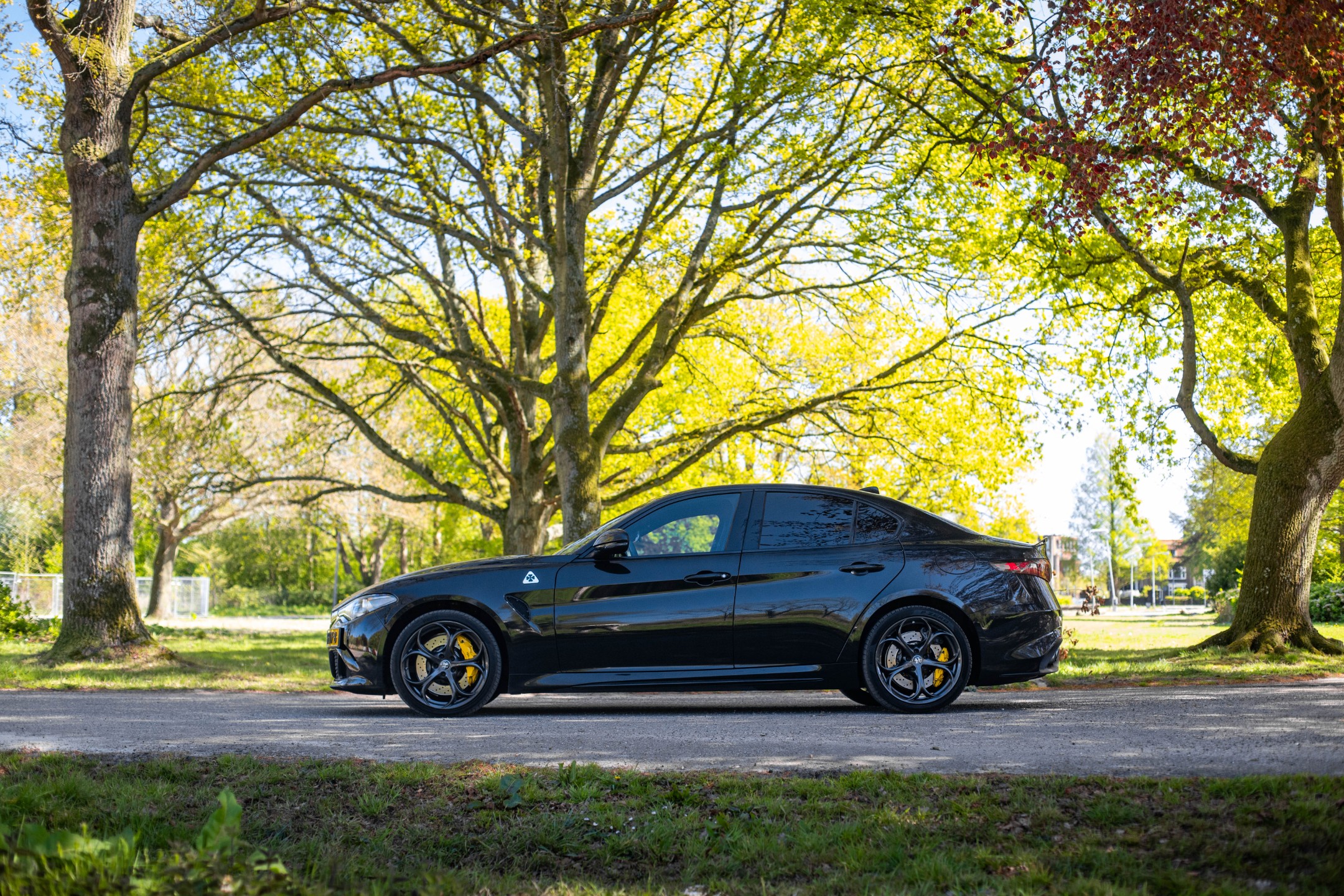 Alfa Romeo Giulia 2.9 V6 Quadrifoglio