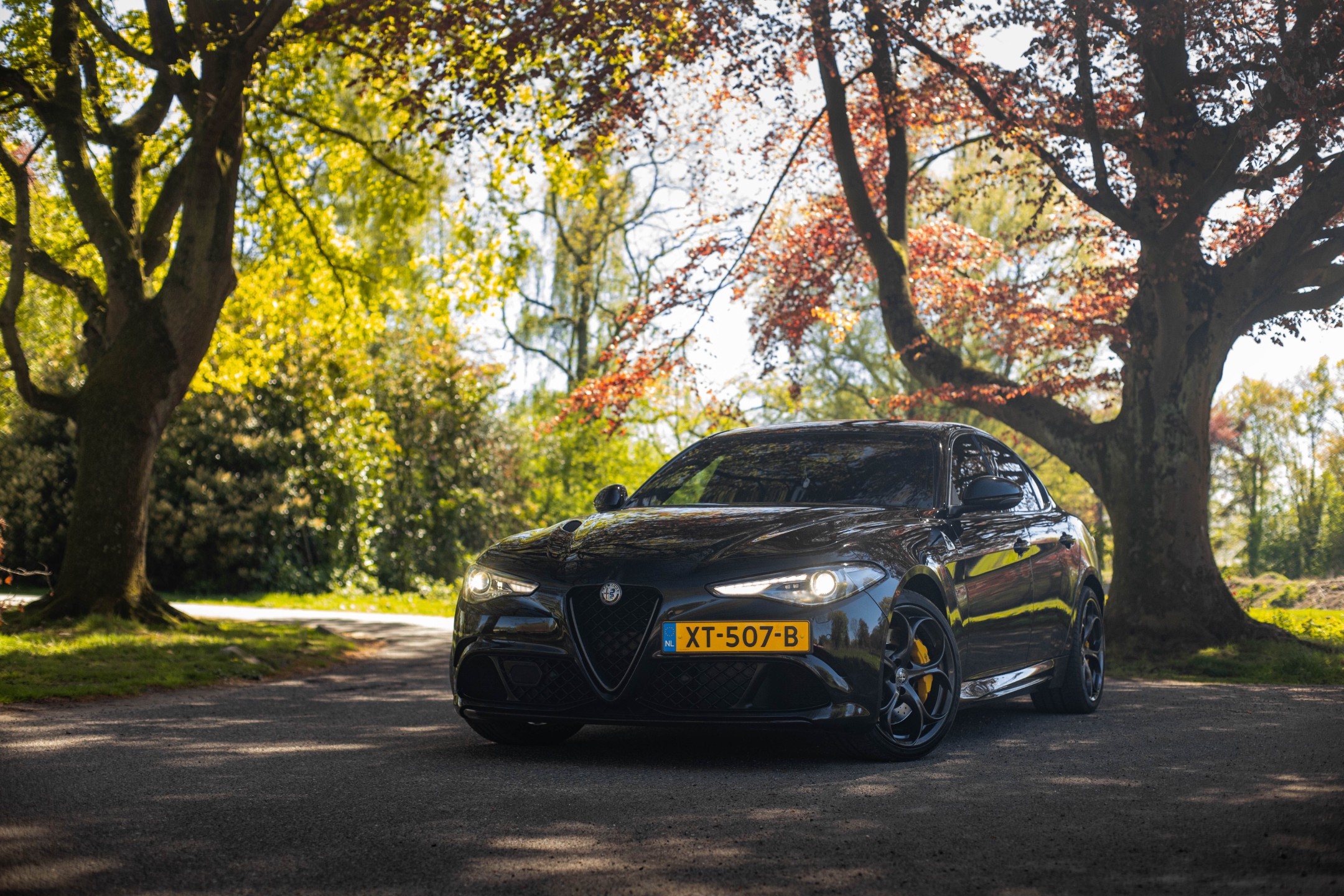 Alfa Romeo Giulia 2.9 V6 Quadrifoglio