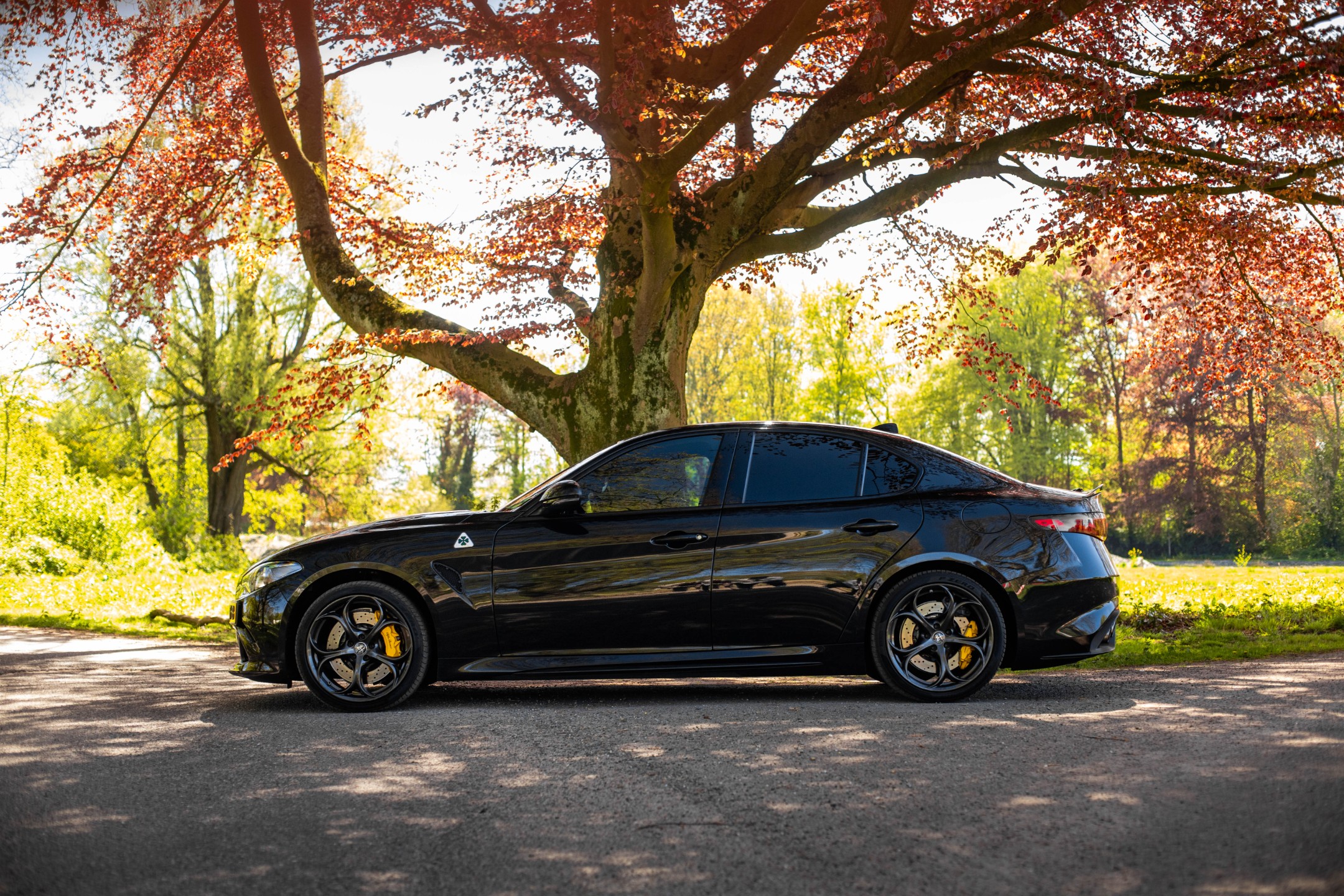 Alfa Romeo Giulia 2.9 V6 Quadrifoglio