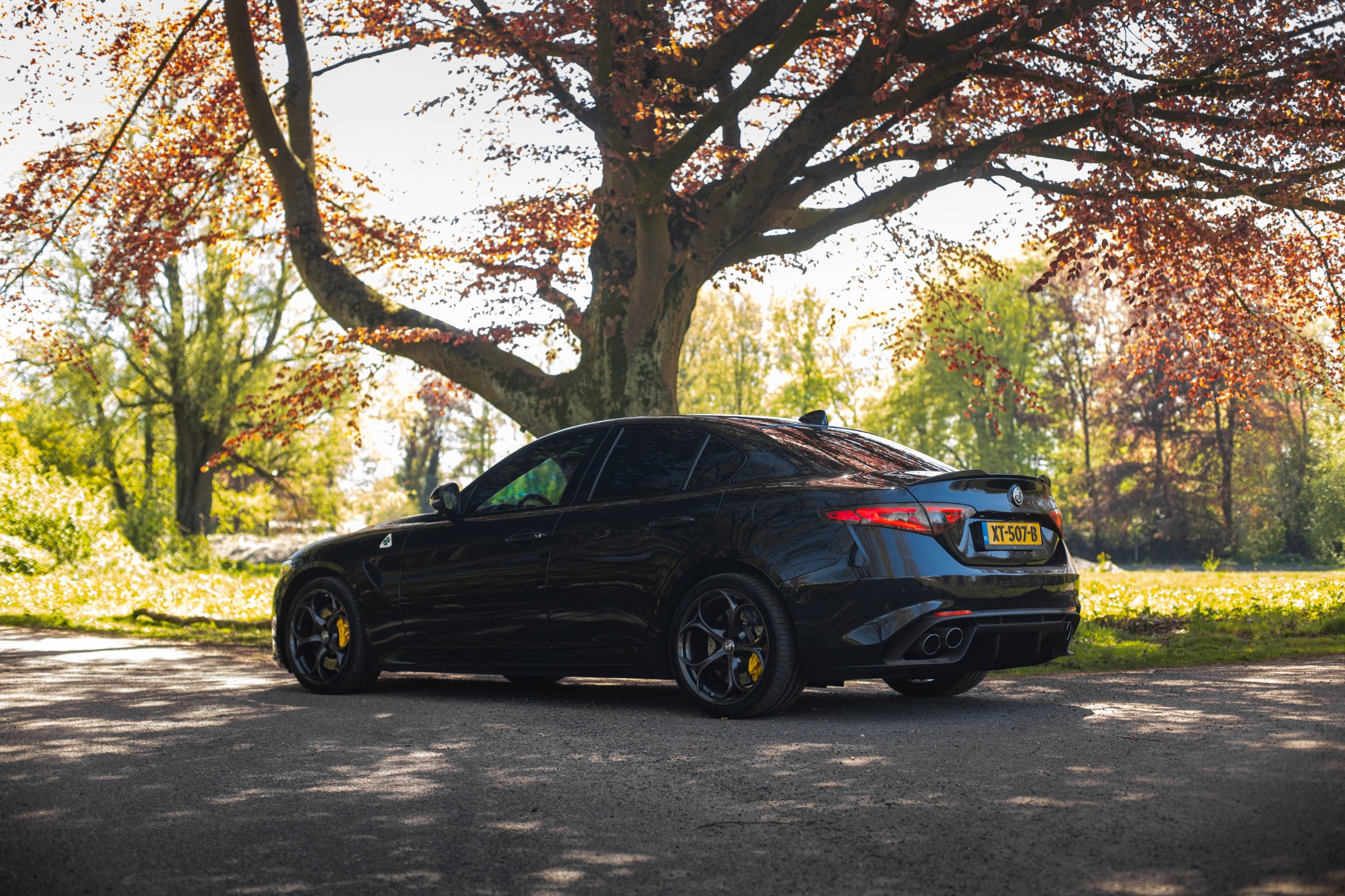 Alfa Romeo Giulia 2.9 V6 Quadrifoglio