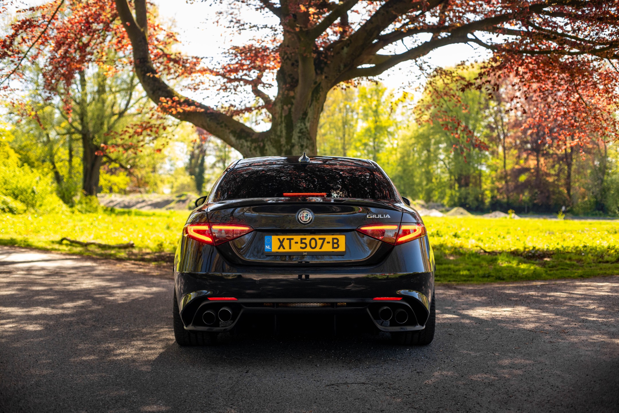 Alfa Romeo Giulia 2.9 V6 Quadrifoglio