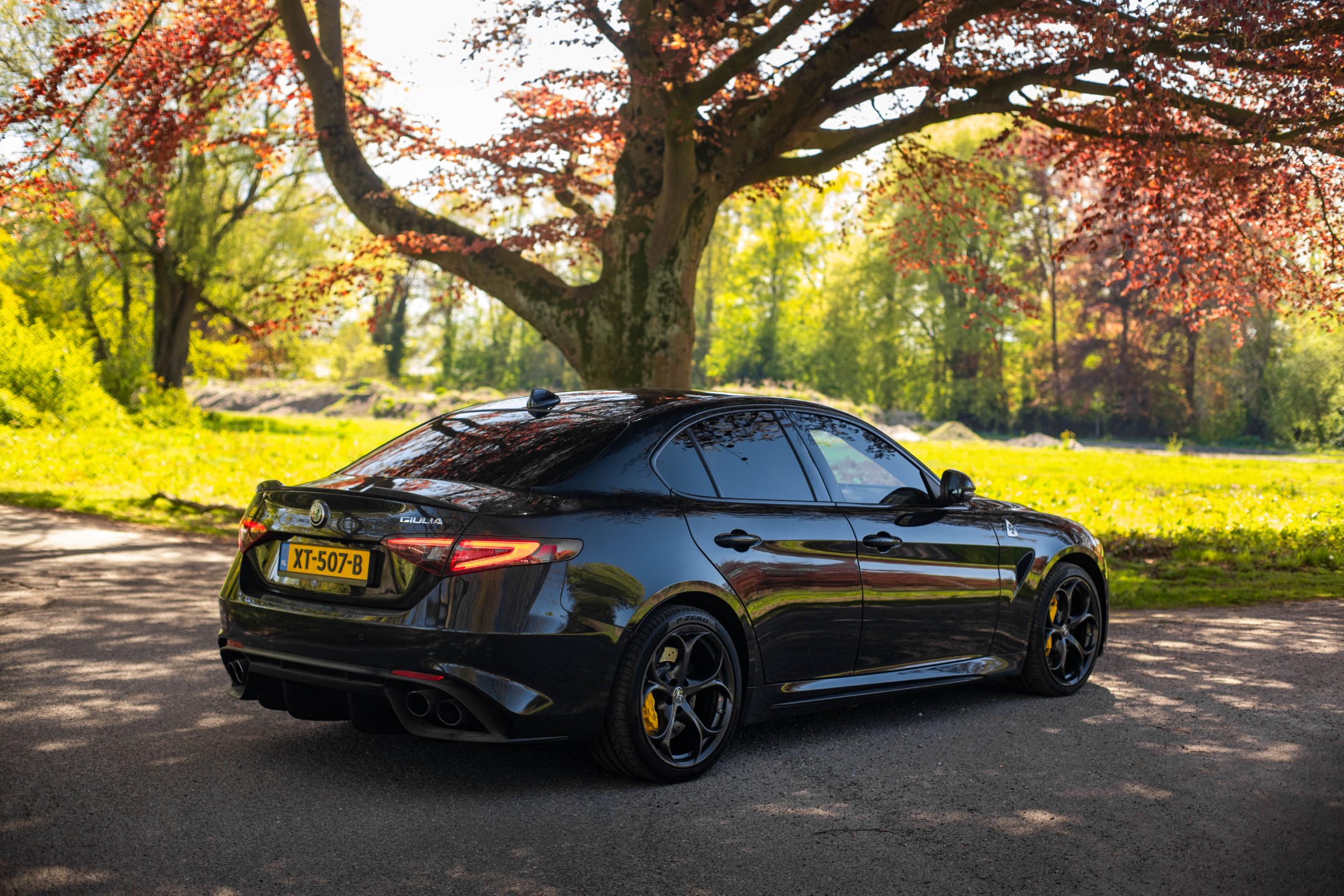 Alfa Romeo Giulia 2.9 V6 Quadrifoglio