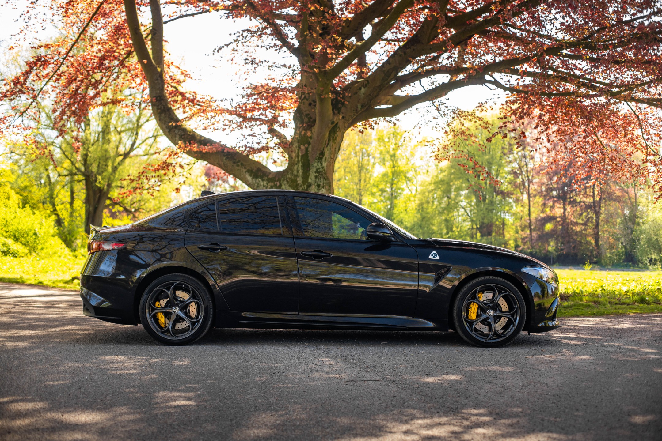 Alfa Romeo Giulia 2.9 V6 Quadrifoglio