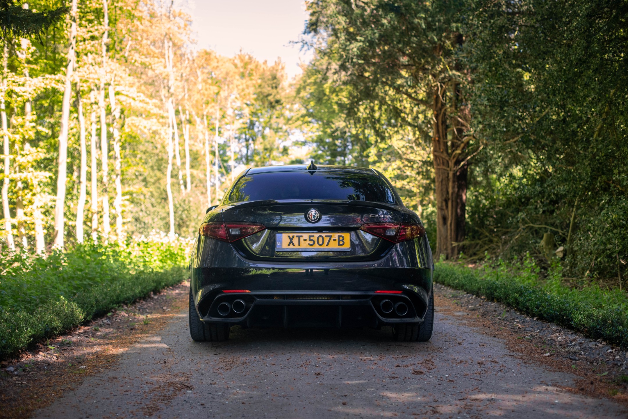 Alfa Romeo Giulia 2.9 V6 Quadrifoglio