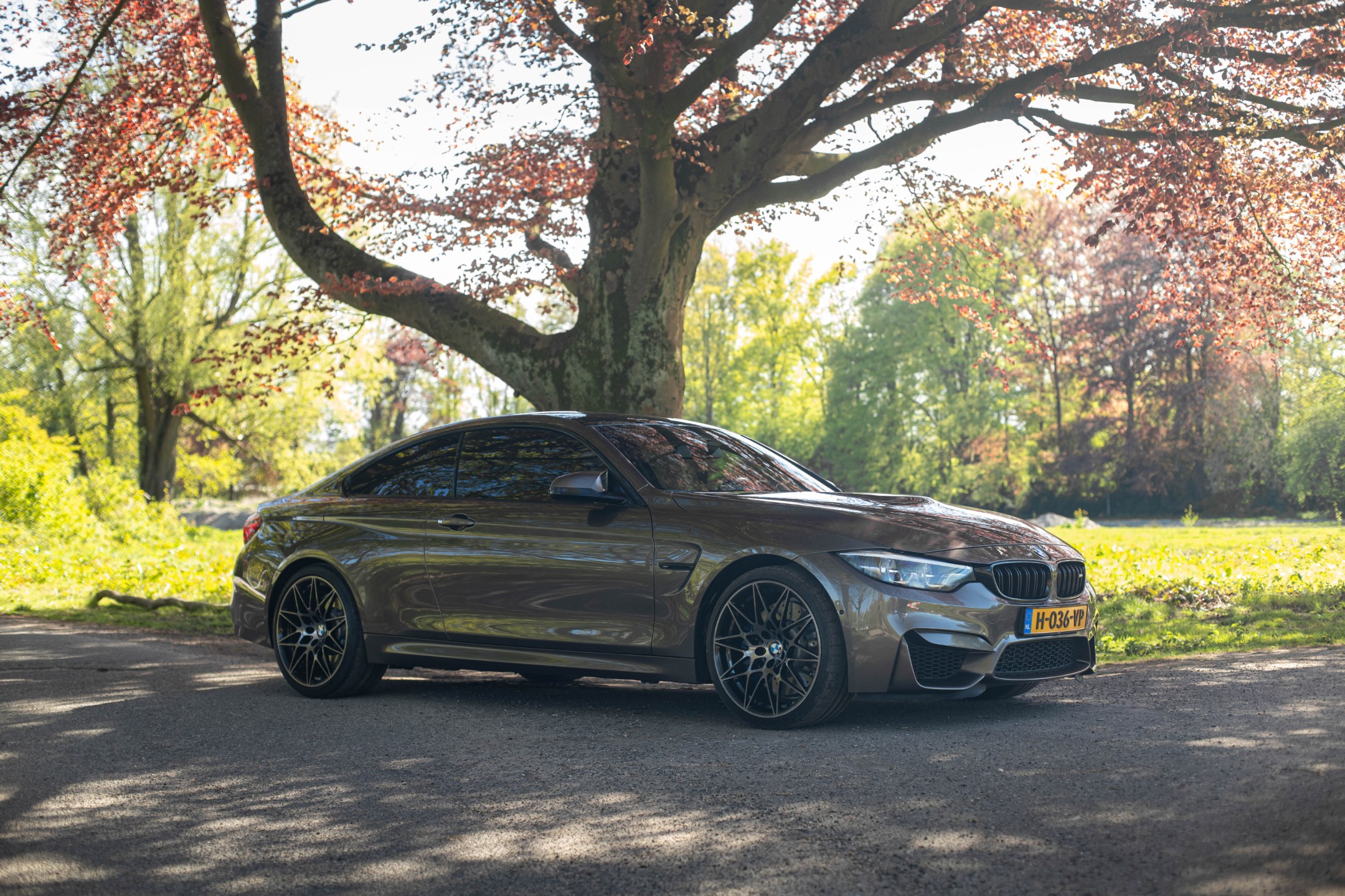 BMW 4-serie Coupé M4 Competition