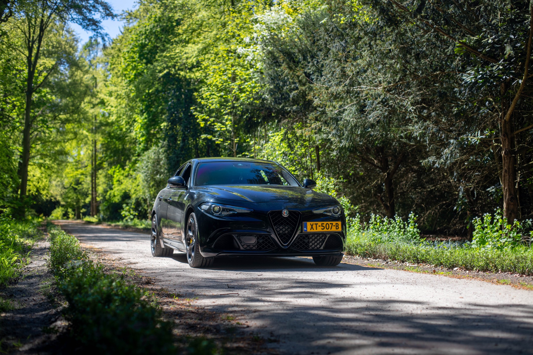 Alfa Romeo Giulia 2.9 V6 Quadrifoglio